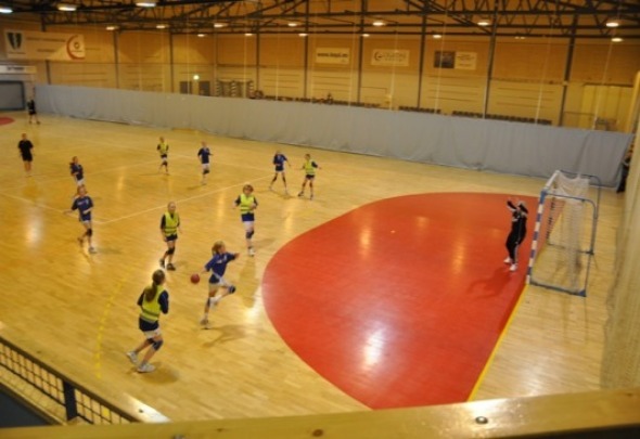 Handball 01