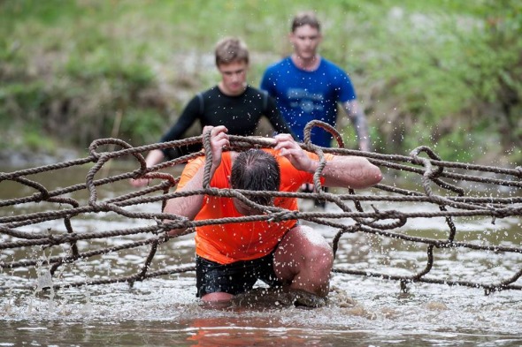 Wox Trondelag 2019