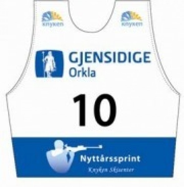 gjensidige 19