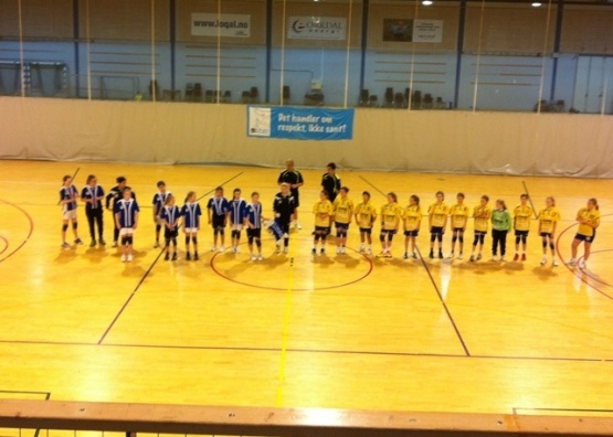 Handball_201111_015.jpg